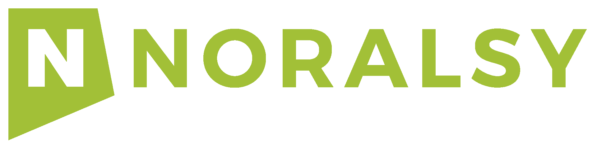 Logo Norasly Installateur de solutions de sécurité
